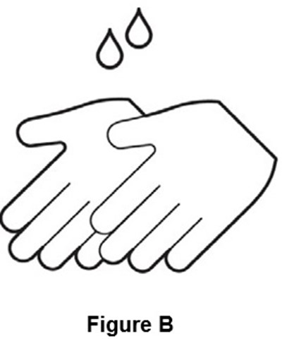 Pil Figure B Image (Pil Figure B Image)